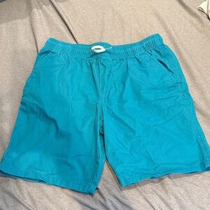 Boys SZ XL CAT & JACK Teal Shorts